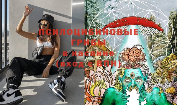MESCALINE Нязепетровск