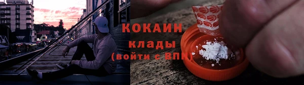 гашик Новодвинск