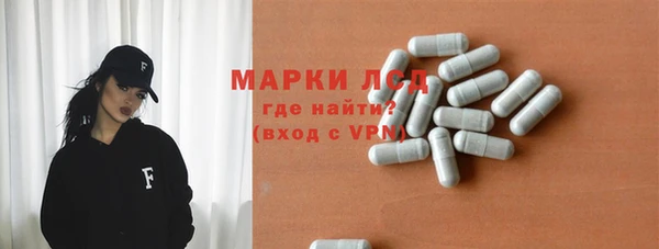 гашик Новодвинск