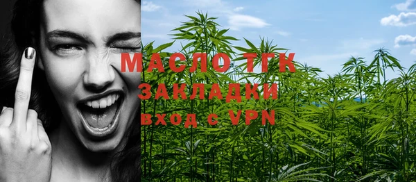 дмт Билибино