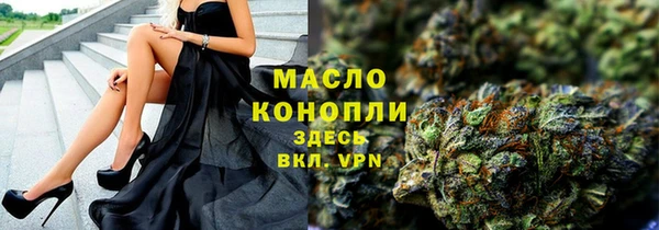 гашик Новодвинск