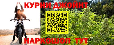 МДПВ Гатчина