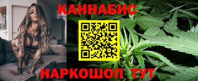 МДПВ Гатчина