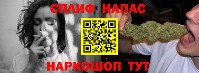 МДПВ Гатчина