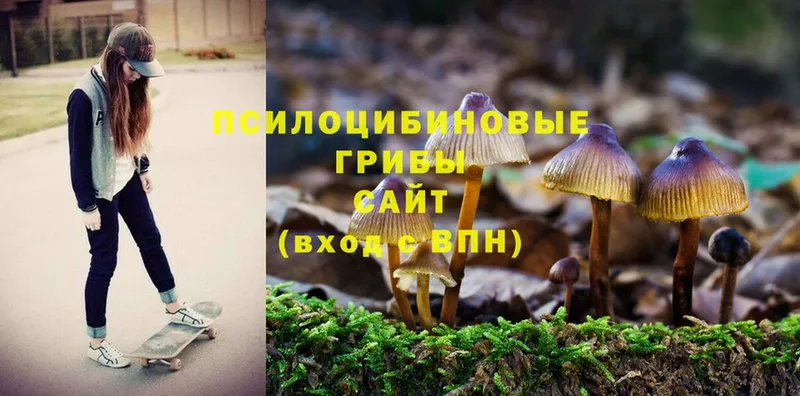 закладки  Стерлитамак  Галлюциногенные грибы Magic Shrooms 