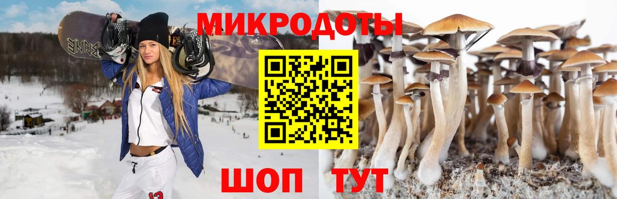 Псилоцибиновые грибы ЛСД Стерлитамак