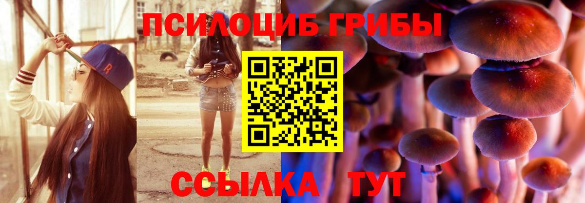 наркота  Стерлитамак  Галлюциногенные грибы Magic Shrooms  Псилоцибиновые грибы Psilocybe 
