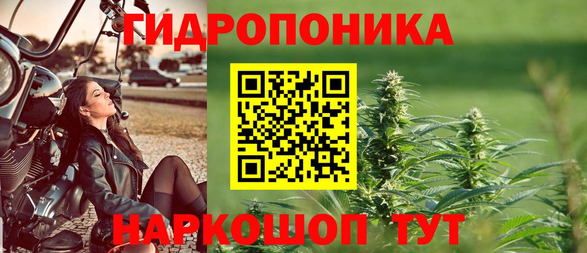 Канабис план  Шишки марихуана VHQ  Вход с VPN  Стерлитамак  Конопля SATIVA & INDICA  МАРИХУАНА марихуана 